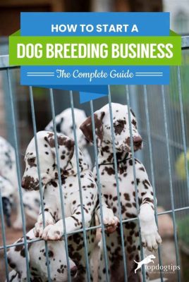 How to Start a Dog Breeding Business: A Comprehensive Guide with Q&A